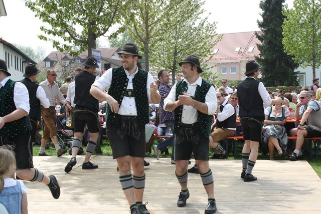 Maibaum 2013